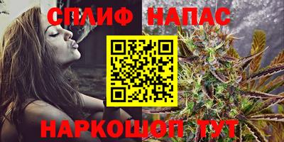 дживик Будённовск