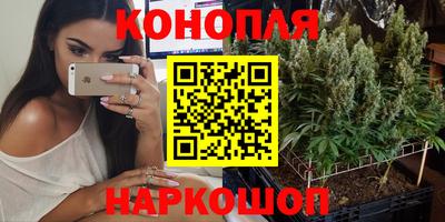 гидропоника Бузулук