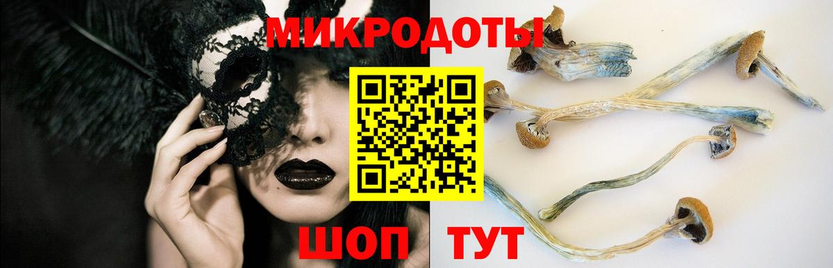 Кинешма  Псилоцибиновые грибы Psilocybine cubensis  Вход с VPN 